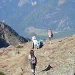 Alpenroyal