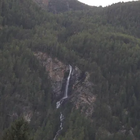 Alpenroyal * Лангенфельд