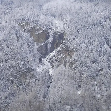Alpenroyal *