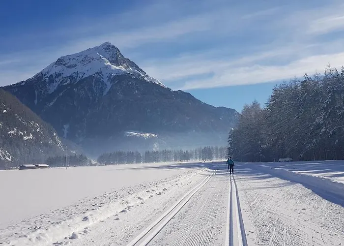 Alpenroyal 度假居 *