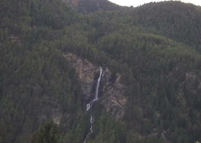 Alpenroyal * 朗根费尔德